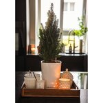 LECHUZA Jardinière DELTINI ALL-IN-ONE Blanc brillant