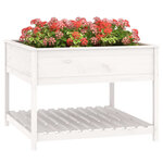 vidaXL Jardinière et étagère Blanc 111 5x111 5x81cm Bois massif de pin