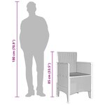 vidaXL Chaise de jardin 2 Pièces Anthracite 53 x 49 x 85 cm Polypropylène