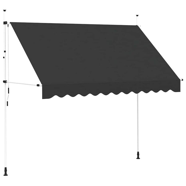 vidaXL Auvent manuel rétractable 300 cm Anthracite