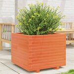 vidaXL Jardinière cire marron 60x60x49 5 cm bois de pin massif