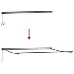 vidaXL Cadre d'auvent Anthracite 500 × 300 cm