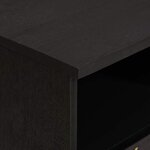 vidaXL Meuble TV Noir 100 x 33 x 46 cm Bois de mangue massif