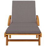 vidaXL Chaises longues lot de 2 avec table bois massif d'acacia