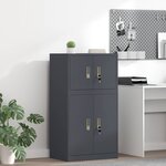vidaXL Armoire de rangement Anthracite 60 x 40 x 40 cm Acier