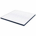 vidaXL Coussins de Matelas Blanc et bleu 200 x 200 cm
