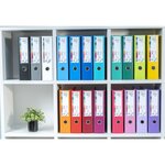 EXACOMPTA - Classeur a levier extra large - Dos 80mm -24,2 x 29,7 - Rembordé polypropylene - Fushia