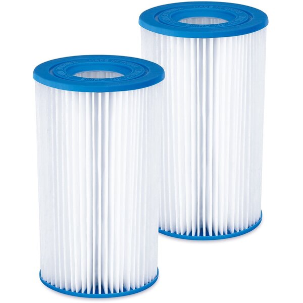Summer Waves TW21-P57000202000 - Cartouche filtrante de remplacement Type A/C (2-pack)