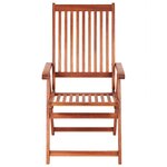 vidaXL Chaises pliables de jardin lot de 2 Bois solide d'acacia Marron