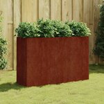 vidaXL Lit surélevé de jardin 120x40x80 cm acier corten