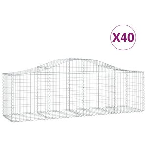 vidaXL Paniers à gabions arqués 40 Pièces 200x50x60/80 cm fer galvanisé