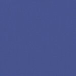 vidaXL Auvent latéral rétractable bleu 180x600 cm