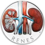 Pièce de monnaie en Argent 1 Dollar g 31.1 (1 oz) Millésime 2025 Human Body KIDNEYS (PRÉCOMMANDE)