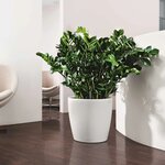 LECHUZA Jardinière Classico Color 28 ALL-IN-ONE Blanc brillant 13190
