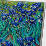 IRISES 1889 By Vincent Van Gogh Colored 2.5 Once Argent & 120g Copper Monnaie 10000 Francs Chad 2024