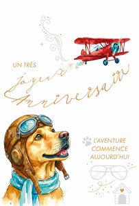 69-3128 Carte Anniversaire Chien Aviation Biplan L'Aventure commence aujourd'hui Peinture Aquarelle - Finitions Dorure Or Doré + Gaufrage en Relief +1 Enveloppe Format 12x17cm - Fabriqué en Europe