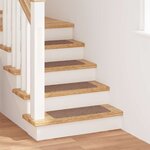 vidaXL Marches d'escalier 15 Pièces Marron 60 x 25 cm Polypropylène