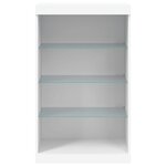 vidaXL Buffet avec lumières LED blanc 60 5x37x100 cm