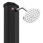 vidaXL Douche solaire d'extérieur avec pomme de douche et robinet 35 L