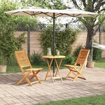 vidaXL Ensemble bistro pliant 3 Pièces Marron Bois d'acacia massif