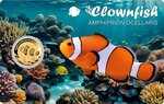 Pièce de monnaie en Or 3000 Francs g 0.031 (1/1000 oz) Millésime 2024 Gold Gift CLOWNFISH 1/1000