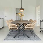 2 Fauteuils en polyrotin TRIESTE