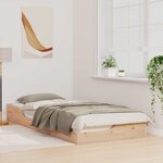 vidaXL Cadre de lit surélevé Marron 100 x 210 cm Bois massif en pin