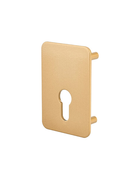THIRARD - Plaque de renfort cylindre profilé pour verrou Capital  fixation par vis  époxy bronze  - THIRARD