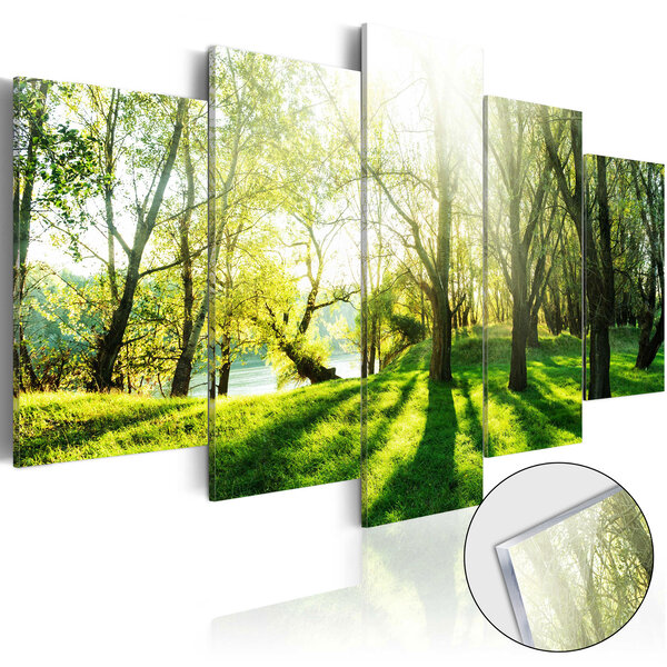 Tableau sur verre acrylique - green glade [glass] l x h en cm 200x100