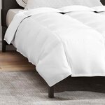 vidaXL Duvet d'hiver Blanc 155 x 220 cm Plume