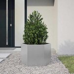 vidaXL Jardinière hexagone 69x60x45 cm acier galvanisé