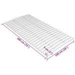 vidaXL Latte de rechange pour sommier avec 24 lattes 100 x 200 cm