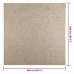vidaXL Tapis ZIZUR beige 240x240 cm aspect de jute intérieur extérieur