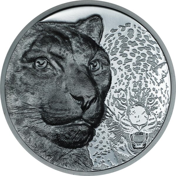 Pièce de monnaie en Argent 1000 Togrog g 62.2 (2 oz) Millésime 2024 Wild Mongolia SNOW LEOPARD (PRÉCOMMANDE)