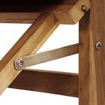 vidaXL Chaise de directeur pliante Gris 56 x 54 x 87 cm