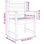vidaXL Chaises de jardin lot de 2 60x48x91 cm bois massif de douglas