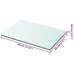 vidaXL Panneau pour étagère Verre transparent 20 x 30 cm