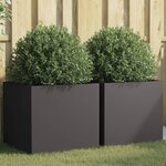 vidaXL Jardinières 2 Pièces noir 49x47x46 cm acier