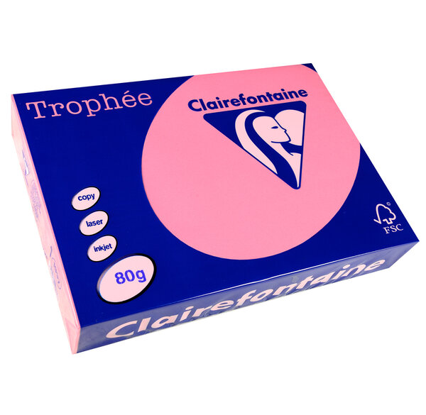 Ramette 500 Feuilles Papier 80g A4 210x297 mm EGLANTINE TROPHÉE