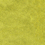 vidaXL Tapis de bain 2 Pièces Vert clair 50 x 50 cm Polypropylène