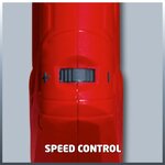 Einhell - ponceuse girafe murale tc-dw 225
