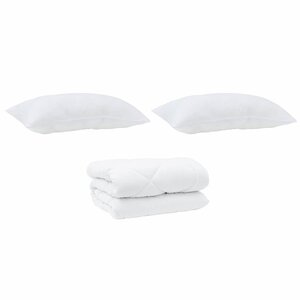 vidaXL Duvet d'hiver avec oreiller 3 Pièces Blanc 240 x 220 cm Microfibre