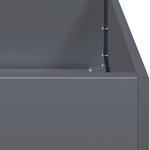 vidaXL Jardinière anthracite 120x40x80 cm acier laminé à froid