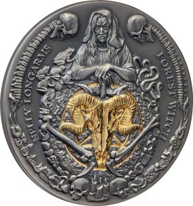 Pièce de monnaie en Argent 5 Dollars g 62.2 (2 oz) Millésime 2024 NELLY LONGARMS
