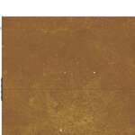 vidaXL Portail de jardin 85x150 cm acier corten