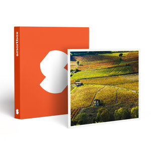 SMARTBOX - Coffret Cadeau Vol en montgolfière pour 2 personnes au-dessus des vignobles du Beaujolais en semaine -  Sport & Aventure