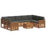 vidaXL Ensemble de canapés d'extérieur 10 pc Naturel et Anthracite