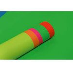Rouleau 10 Feuilles 80g Affiche fluo 60x80 cm assortis CLAIREFONTAINE