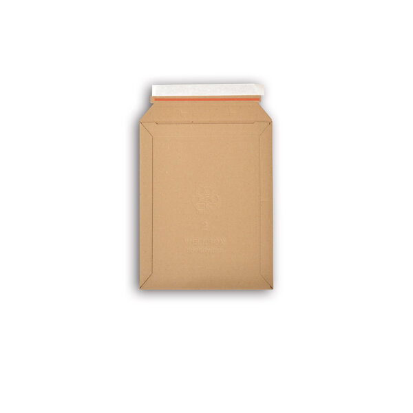 Lot de 100 enveloppes carton wellbox 2 format 215x290 mm