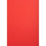 Paquet De 100 Couvertures Grain Cuir Pour Reliure A4 - Rouge - Papeteries De Clairefontaine